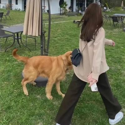 回声折柳特别篇